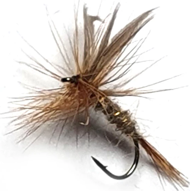 Budget 🤩 Stillwater Gold Rib Hares Ear Dry Fly - 1 Dozen 🥰 1 Budget 🤩 Stillwater Gold Rib Hares Ear Dry Fly - 1 Dozen 🥰