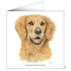 Top 10 ❤️ Mayfly Art Golden Retriever Greetings Card ⌛