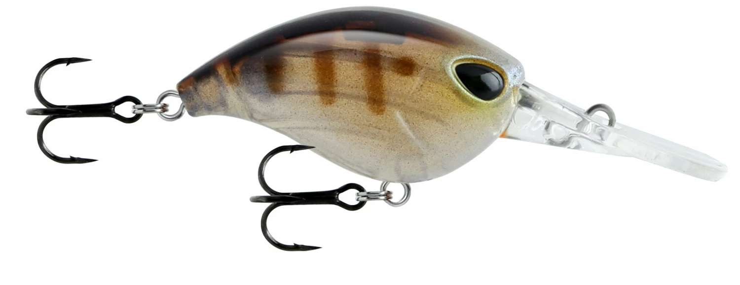 Deals 🛒 Storm Gomoku Crank 38F 🎉 1 Deals 🛒 Storm Gomoku Crank 38F 🎉