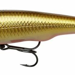 Budget 🎉 Savage Gear Gravity Twitch SR ✨ -Glasgow Angling Sales gravity20twitch20sr20dirty20roach scaled