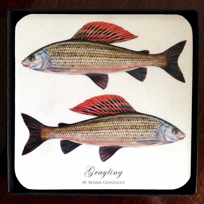 Promo 🥰 Mayfly Art Atlantic Salmon Coaster - Individual 🥰 3 Promo 🥰 Mayfly Art Atlantic Salmon Coaster - Individual 🥰 - Image 3