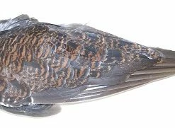 Hot Sale 🥰 Veniard Grouse Whole Wings 🛒