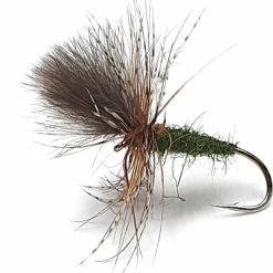 Flash Sale ✨ Fario Fly Grunter Olive Size: 10 ⌛