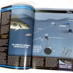 Brand new 👍 Fox Guide To Modern Sea Angling Boat Edition Book 🥰 -Glasgow Angling Sales guide to modern sea angling boat edition inside scaled