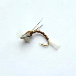 Coupon 🌟 Stillwater Hares Ear Polyrib Buzzer - 1 Dozen ✨