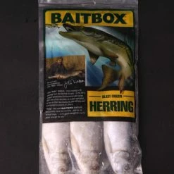 Outlet 🔥 Baitbox Frozen Herring 👍