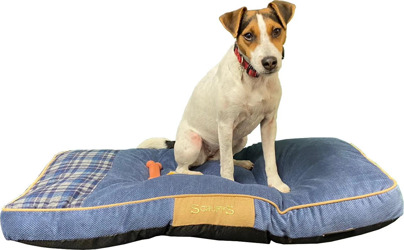 Deals ✨ Scruffs Highland Mattress Assorted Colour 82 x 58 x 6cm ✔️ 1 Deals ✨ Scruffs Highland Mattress Assorted Colour 82 x 58 x 6cm ✔️