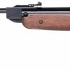 Deals ⭐ Weihrauch HW80K Beech Sporter Air Rifle with HE Silencer 🎁