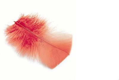 Cheap π Veniard Ibis Subs π 1 Cheap π Veniard Ibis Subs π