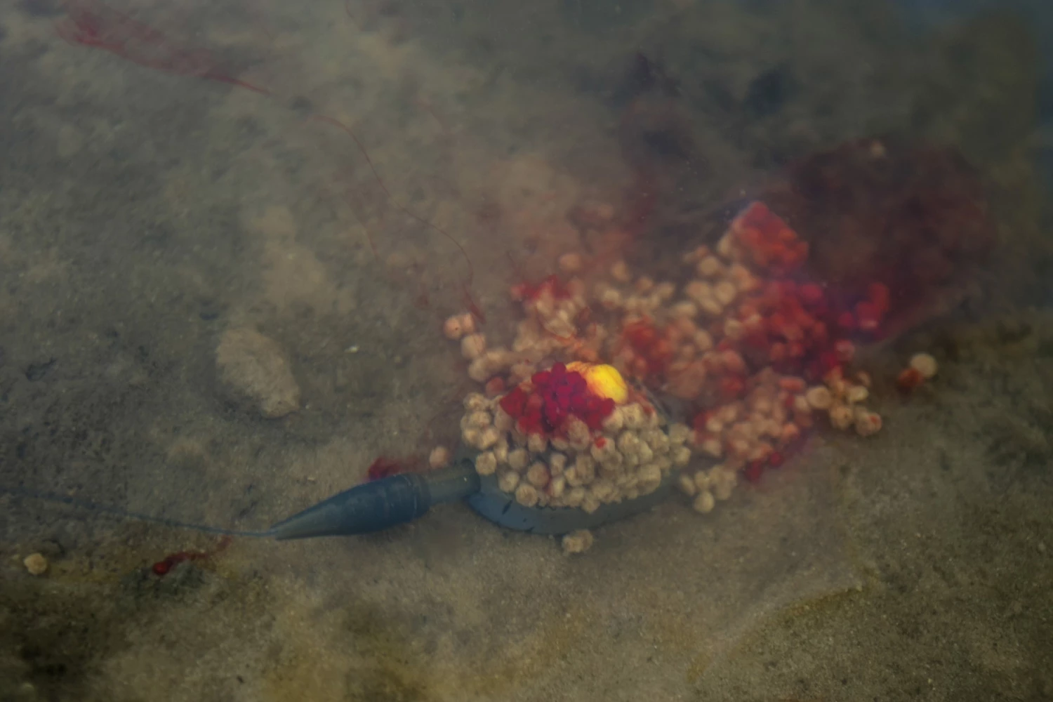 Buy π Preston Innovations ICS In-Line Dura Flat Method Feeder π 2 Buy π Preston Innovations ICS In-Line Dura Flat Method Feeder π - Image 2