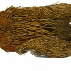 Flash Sale 🥰 Turrall Indian Hen Neck 👍 -Glasgow Angling Sales indian hen neck furnace