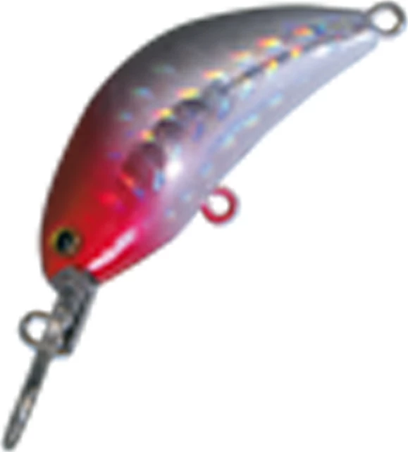 Best Pirce ๐งจ Nomura Kento Sinking Trout Lure ๐ 5 Best Pirce ๐งจ Nomura Kento Sinking Trout Lure ๐ - Image 5