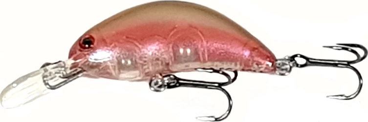 Best Pirce ๐งจ Nomura Kento Sinking Trout Lure ๐ 1 Best Pirce ๐งจ Nomura Kento Sinking Trout Lure ๐