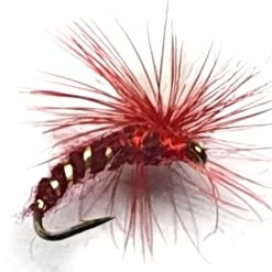Flash Sale 🔥 Stillwater Klinkhammer Claret Short Shank Fly - 1 Dozen 🛒