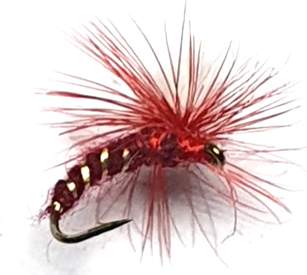 Flash Sale π₯ Stillwater Klinkhammer Claret Short Shank Fly - 1 Dozen π 1 Flash Sale π₯ Stillwater Klinkhammer Claret Short Shank Fly - 1 Dozen π