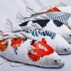 Best Pirce 🔔 Gaby Koi Carp Pillow 💯