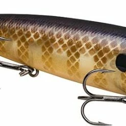 Flash Sale 🤩 Strike King KVD Sexy Dawg 🛒 8 Flash Sale 🤩 Strike King KVD Sexy Dawg 🛒 -Glasgow Angling Sales kvd20sexy20dawg20bluegill