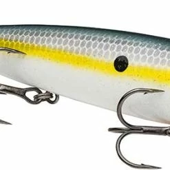 Flash Sale 🤩 Strike King KVD Sexy Dawg 🛒 7 Flash Sale 🤩 Strike King KVD Sexy Dawg 🛒 -Glasgow Angling Sales kvd20sexy20dawg20sexy20shad