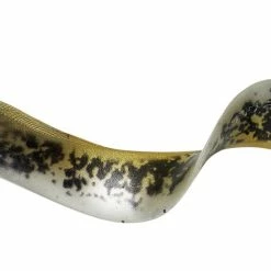 Deals π Savage Gear LB Real Eel 1pc π 9 Deals π Savage Gear LB Real Eel 1pc π -Glasgow Angling Sales lb real eel lamprey20php scaled