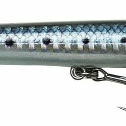 Hot Sale ⭐ Savage Gear MAG Sandeel Surf Walker 210 41g Floating 👍 7 Hot Sale ⭐ Savage Gear MAG Sandeel Surf Walker 210 41g Floating 👍 -Glasgow Angling Sales mag sandeel surf walker 210 floating sardine scaled