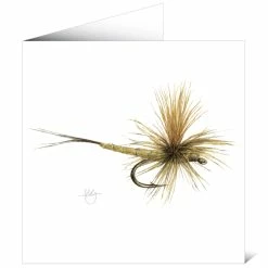Coupon ❤️ Mayfly Art Mayfly Greetings Card 😀