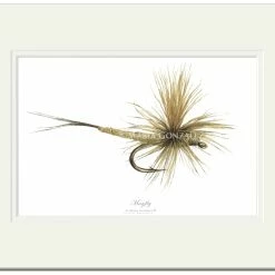 Hot Sale 💯 Mayfly Art Mayfly Signed Print 🛒