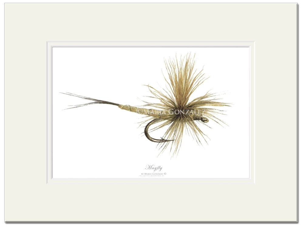 Hot Sale 💯 Mayfly Art Mayfly Signed Print 🛒 1 Hot Sale 💯 Mayfly Art Mayfly Signed Print 🛒
