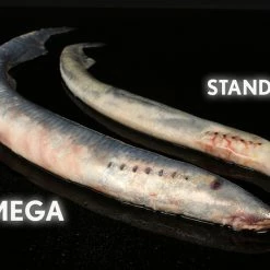 Best reviews of 🧨 Baitbox Mega Lamprey 2/3pc ✔️