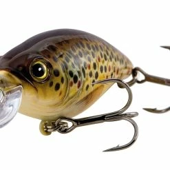 Promo 🛒 Nomura Megumi 5.0cm 9.4g 🔥