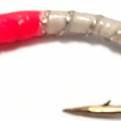 Best Pirce ❤️ Stillwater Miss Scarlet - 1 Dozen ✔️