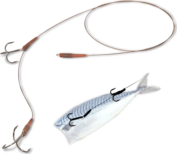 Promo ✨ Quantum Mr. Pike Bottom Rig AFW Camo 30lb Deadbait Rig ⭐ 1 Promo ✨ Quantum Mr. Pike Bottom Rig AFW Camo 30lb Deadbait Rig ⭐