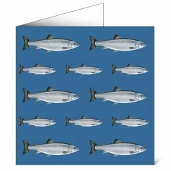 Discount 😉 Mayfly Art Multi Salmon Greetings Card 🎁