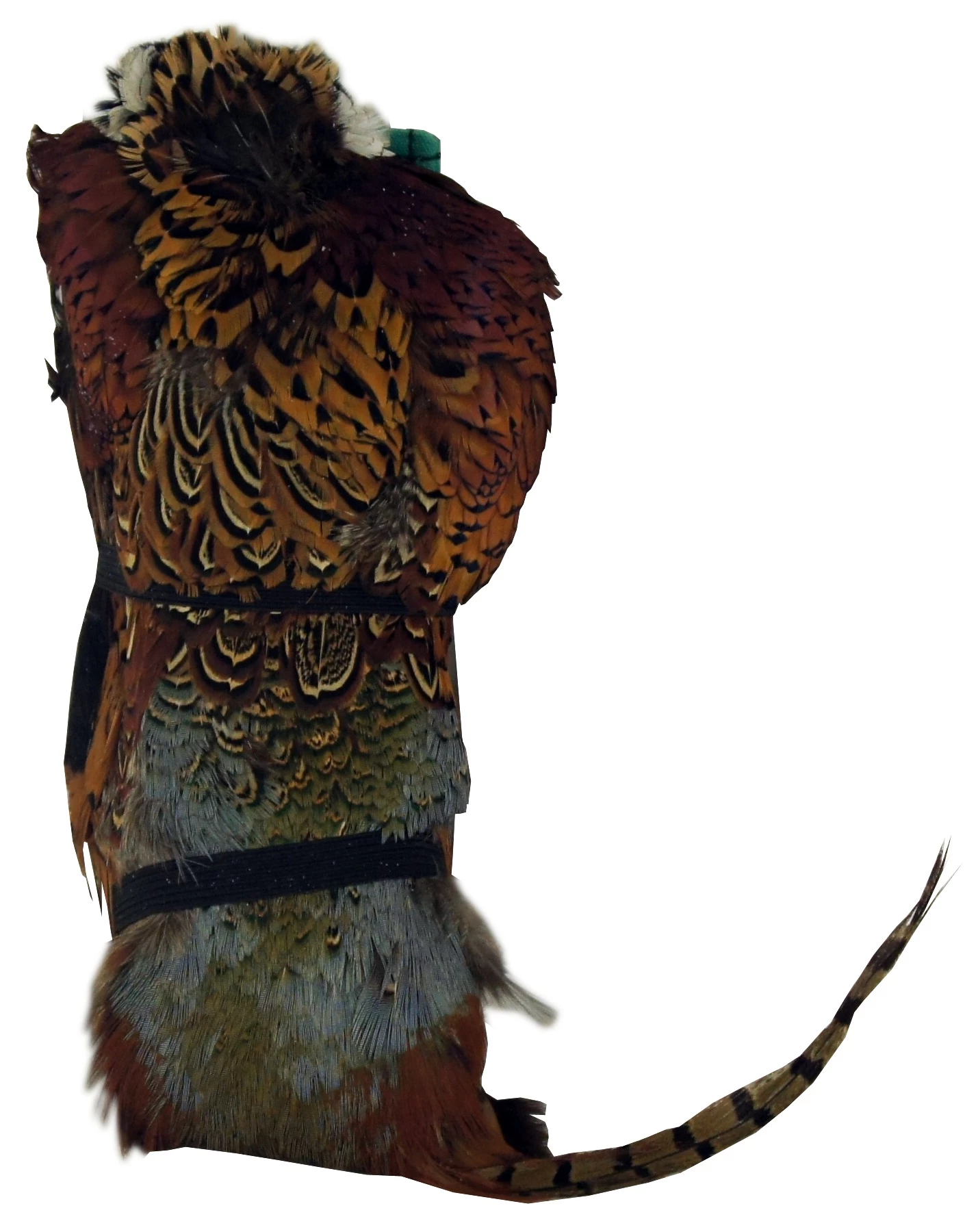 New ✔️ On Point Natural Full Cured Pheasant Skin Dummy 😉 1 New ✔️ On Point Natural Full Cured Pheasant Skin Dummy 😉