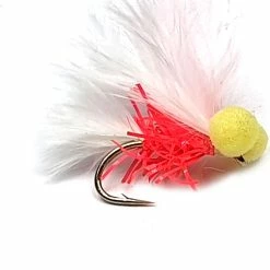 Top 10 😀 Fario Fly Neon Candy Booby 🔥