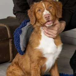 Outlet 👍 Scruffs Noodle Mitt 25cm ✨ -Glasgow Angling Sales noodle mitt 25cm dog