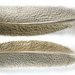 Wholesale 🎁 Veniard Turkey Wings & Tails 👏