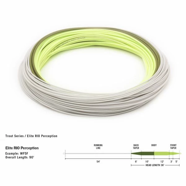 Coupon 💯 Rio Perception Elite Fly Line Green ✨ 2 Coupon 💯 Rio Perception Elite Fly Line Green ✨ - Image 2