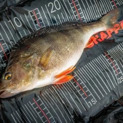Best reviews of 👍 Korum Snapper Perch Fast Mat 🤩 5 Best reviews of 👍 Korum Snapper Perch Fast Mat 🤩 -Glasgow Angling Sales perch20fast20mat20example