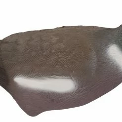 Buy 🎉 Stillwater Pigeon Decoy ✔️