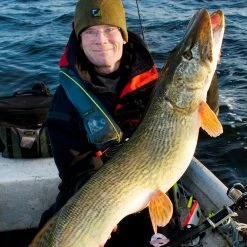 Coupon 🎁 Westin Pike Fever Book 🎉 -Glasgow Angling Sales pike fever book3