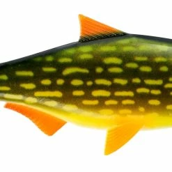 Brand new 💯 Storm R.I.P. Roach 21cm 127g ⭐ 9 Brand new 💯 Storm R.I.P. Roach 21cm 127g ⭐ -Glasgow Angling Sales r.i.p.20roach2021cm20127g20pike scaled