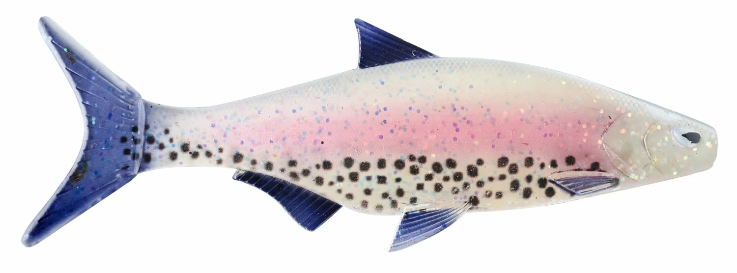 Brand new 💯 Storm R.I.P. Roach 21cm 127g ⭐ 6 Brand new 💯 Storm R.I.P. Roach 21cm 127g ⭐ - Image 6