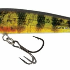 Best Pirce ✔️ Salmo Rattlin' Sting Suspending Lure ❤️ -Glasgow Angling Sales rattlin sting floating real yellow perch