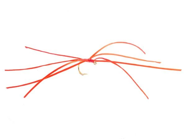 Buy 🌟 Fario Fly Red Holo 8 Leg Apps Worm Size: 08 🎁 1 Buy 🌟 Fario Fly Red Holo 8 Leg Apps Worm Size: 08 🎁