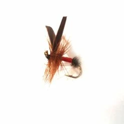 Cheapest ✔️ Stillwater Red Ant Dry Fly - 1 Dozen ⌛