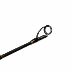 Cheap ✔️ PENN Regiment II Popping Spin Rods 1+1pc 🔔 -Glasgow Angling Sales regiment ii popping spin regiment ii popping spin 2