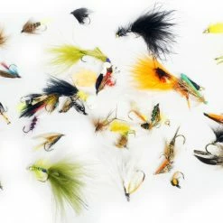 Top 10 🤩 Stillwater Reservoir Trout Selection x 50 👏