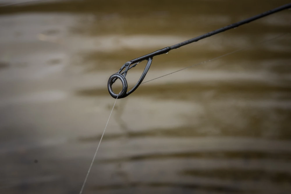 Best reviews of 😀 Wychwood Riot Eva Carp Rod 🎁 7 Best reviews of 😀 Wychwood Riot Eva Carp Rod 🎁 - Image 7