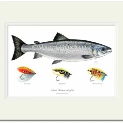 Wholesale ⭐ Mayfly Art Salmon and Flies Signed Print 🔔