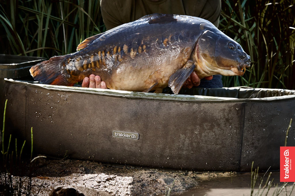 Best reviews of ⌛ Trakker Sanctuary Compact Oval Crib 🥰 2 Best reviews of ⌛ Trakker Sanctuary Compact Oval Crib 🥰 - Image 2